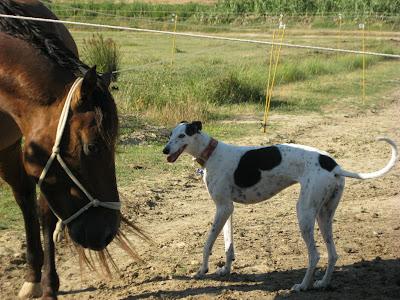 En San Juan, sanjuaneo...!!