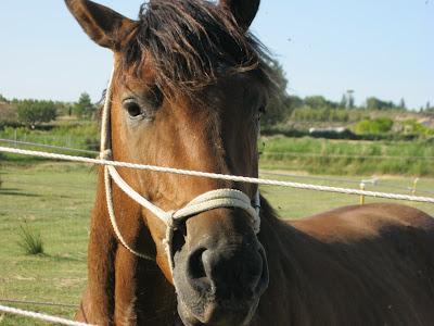 En San Juan, sanjuaneo...!!