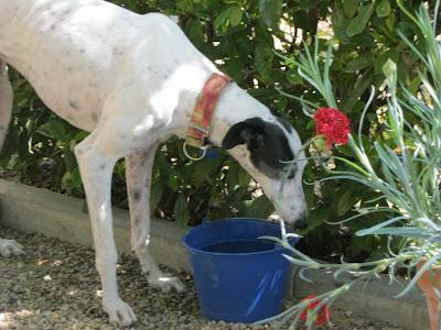 En San Juan, sanjuaneo...!!