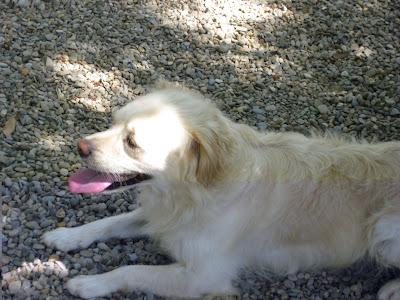 En San Juan, sanjuaneo...!!