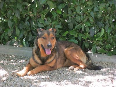 En San Juan, sanjuaneo...!!