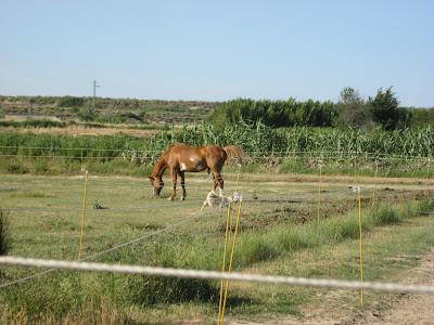 En San Juan, sanjuaneo...!!