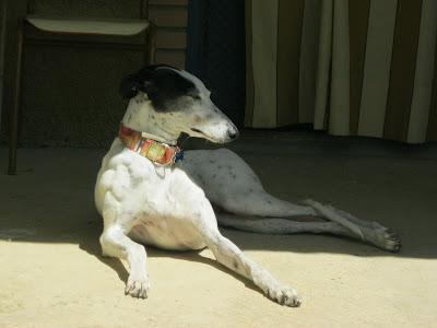 En San Juan, sanjuaneo...!!