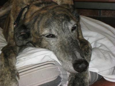 En San Juan, sanjuaneo...!!