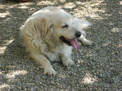 En San Juan, sanjuaneo...!!