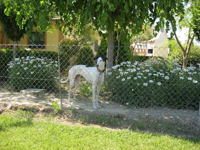 En San Juan, sanjuaneo...!!