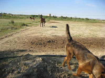 En San Juan, sanjuaneo...!!