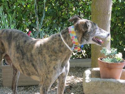 En San Juan, sanjuaneo...!!