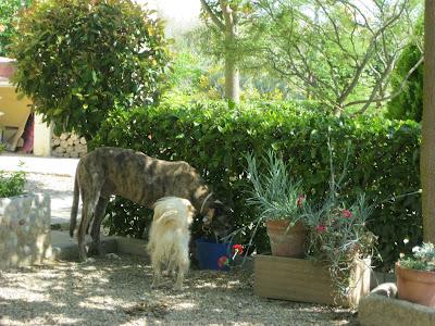 En San Juan, sanjuaneo...!!