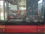 Tussam vuelve Cuba… verano