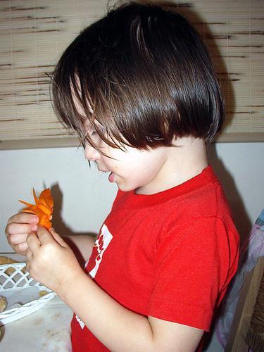 Verduras en la dieta infantil
