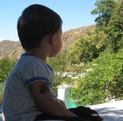 Miércoles Mudo: Apoyando A España En La Eurocopa