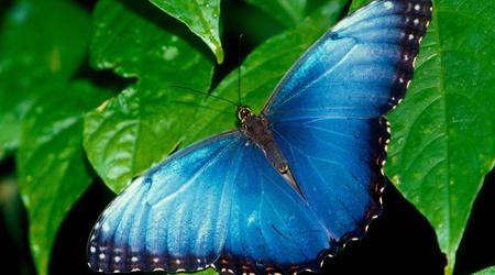 No puedo dejar de pecar