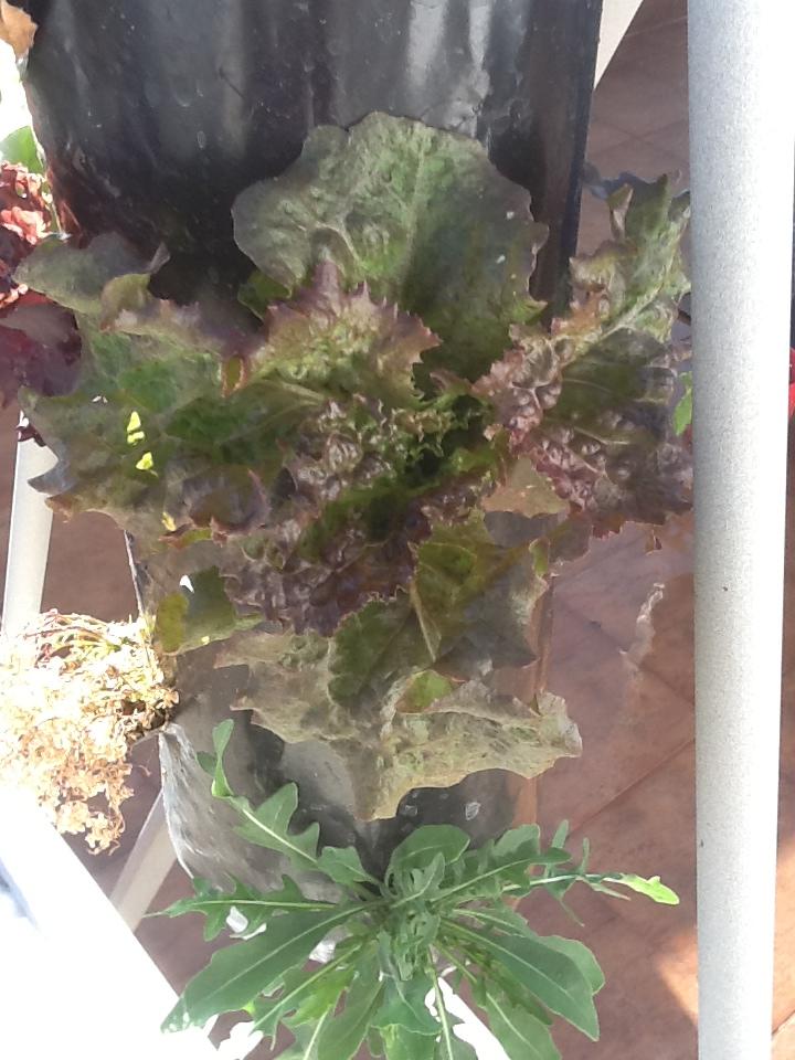 30 antes de 30: Mitad de camino