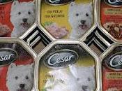 Prueba comida para perros Cesar