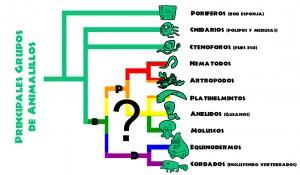 Biodiversidad y sexualidad