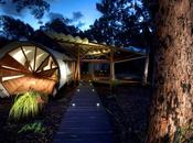 Casas Diferentes Originales (CDO): "Casa-Camping Australia"
