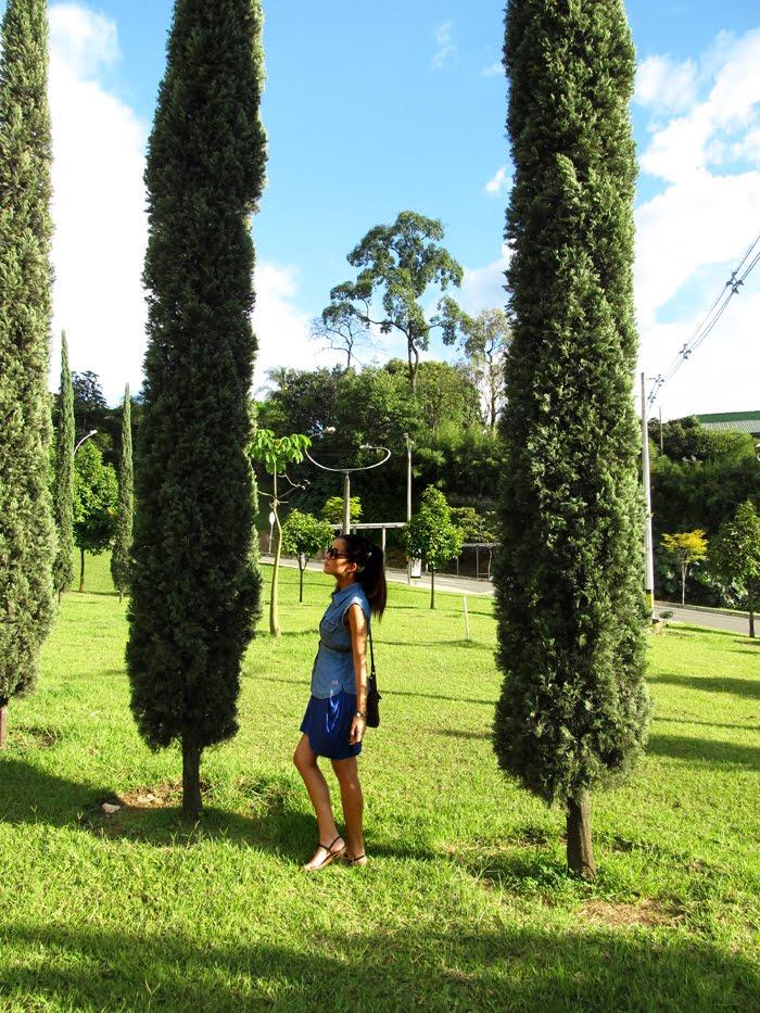 Brighter than the sun