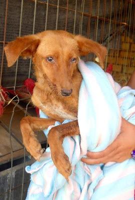 Estrella, una semana tirada sin recibir ayuda.