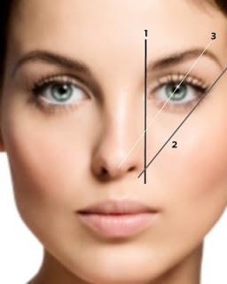 Forma de tus Cejas