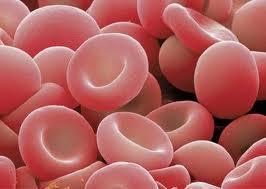 La hemoglibina baja (anemia) causas y síntomas.