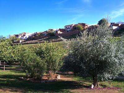 Un posible acto vandálico provoca un incendio en Almadén