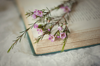Libros... y flores