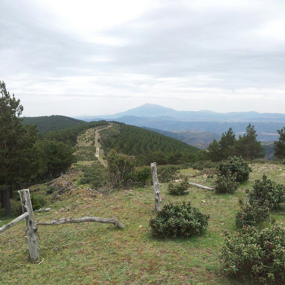 La reunión en la cumbre de la Alcarama