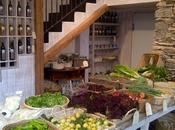 Productos naturales Temps Terra