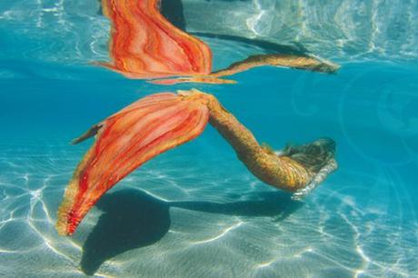 sirenas buceando con cola roja