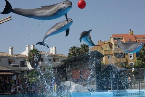 Deja que tus hijos elijan las vacaciones