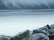 FIDOCS 2012: Nine Muses.