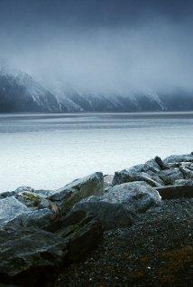 FIDOCS 2012: The Nine Muses.