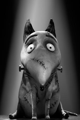Posters e imágenes de Frankenweenie, Sinister, Knight of Cups, Carrie, The Campaing y más