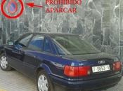 ley, imagen semejanza (parte