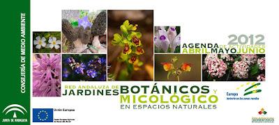 Despido Inminente de los 19 técnicos de la Red de Jardines Botánicos de la Junta de Andalucía.