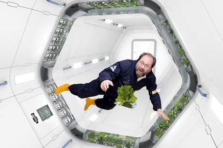 La Nasa ha diseñado una manera de cultivar verduras en el espacio