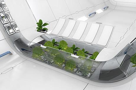 La Nasa ha diseñado una manera de cultivar verduras en el espacio