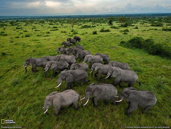 Mejores fotos 2012 de National Geographic