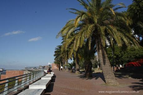 solypalmeras Rosario con “R” de Río: un recorrido por la costanera