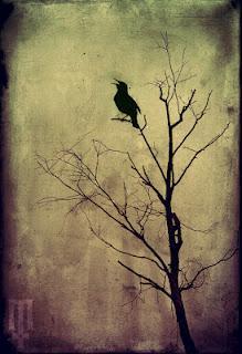 TRES CUENTOS - Dos autores