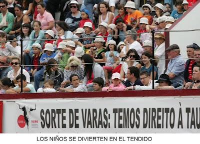 LOS NIÑOS DISFRUTAN CON LOS TOROS EN AZORES