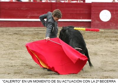 LOS NIÑOS DISFRUTAN CON LOS TOROS EN AZORES