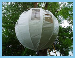 DISEÑO: LA CASA BUBBLE