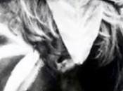 señor moscas' quiere aburras