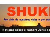 Resumen SHUKRAN junio 2012