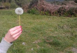 CAMINO DE SANTIAGO