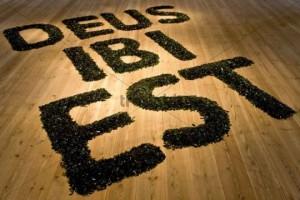 Enfocando un sospechoso debate, sobre el IBI de la Iglesia.