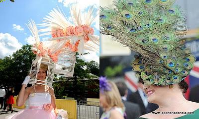 Desvelo el por qué de mi ausencia en las carreras de Ascot