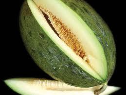 m323 Melón de Villaconejos, un campeón del verano!!!  